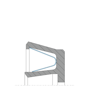 Obrázok zobrazuje profil rotačného tesnenia, MEGAseal ROTO MSP19A